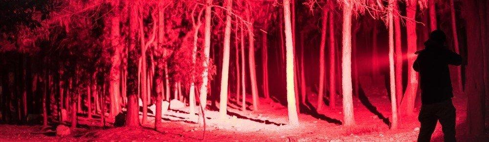 Rouge/Vert/Bleu Faisceau Lumière DEL Lampes de Poche Vision de Nuit Torche pour Camping/TG